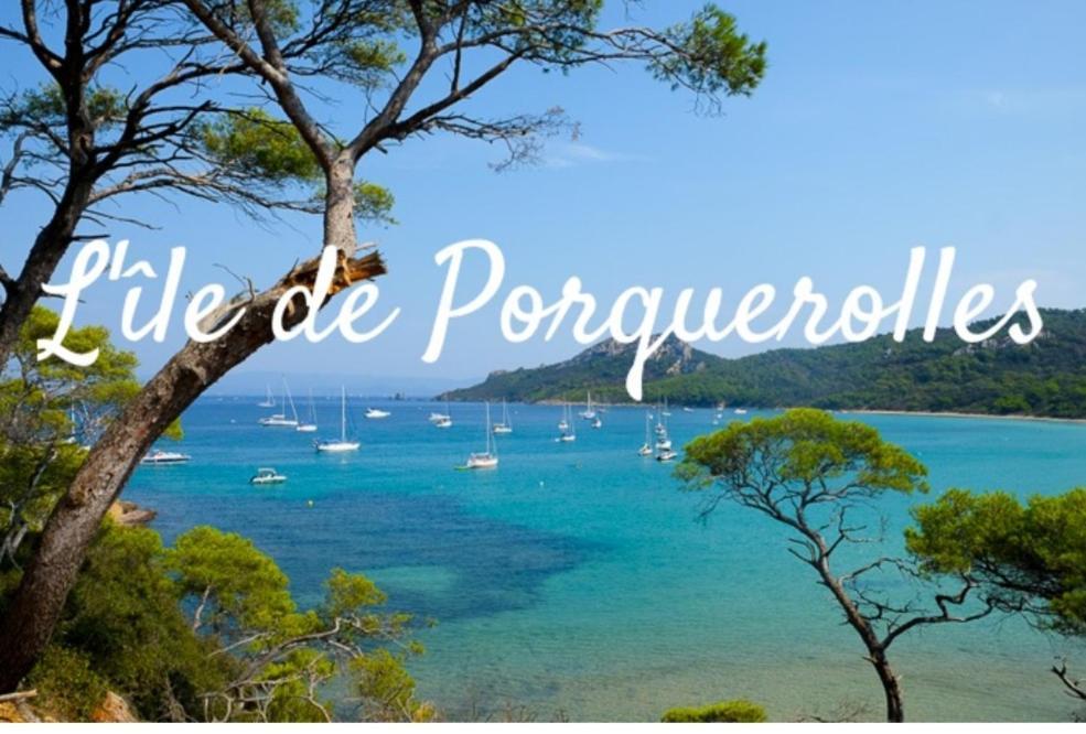 Le Terra-cota 3 Ch Privees 10' Gare-port Et Plage, Wfi, Cosy Apartment