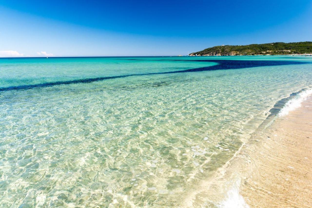 Le Terra-cota 3 Ch Privees 10' Gare-port Et Plage, Wfi, Cosy Toulon